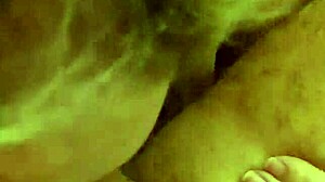 alineflavio update 155 from september 26 2024