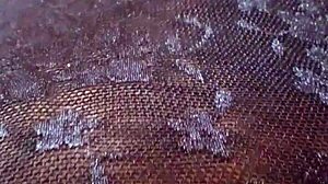 Gretala shows off her pregnant belly in that transparent thong, so sensual and exhibitionist! 😏🤰