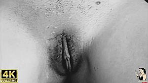 Watch Latina Maid Andressa Castro Caught Masturbating in Boss's House!