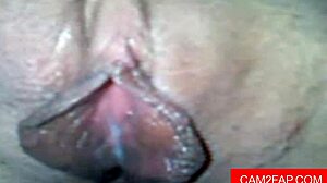 blowjob leads to amateur anal webcam session