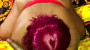 Nigarchrist shares update 1562 on Petal from July 6, 2025