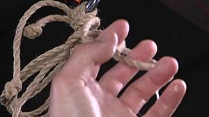 Oh, master, please torment my huge tits, ass, and cunt like the bound slave I am!