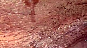 Devouring Wet Ebony Pussy to Orgasm