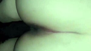 Massive black cock stretches my chubby girlfriend in intense interracial pounding