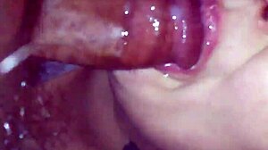 Amateur Wife Gives Blowjob and Swallows Cum in Bbw Action