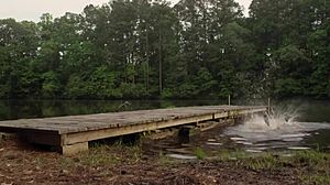 Hey, check out Donnabella Mortel in that sexy bikini babe freshwater video!