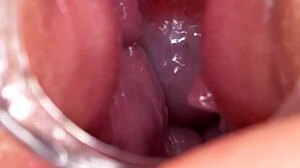 Napalona suka tryska z mokrej cipki w domowej sesji unasieniania