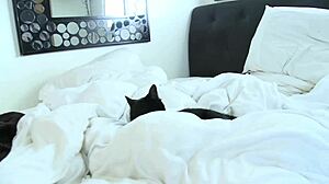 Faye Reagan and Georgia Jones are DTF roommates that love licking pussy, but who starts first?