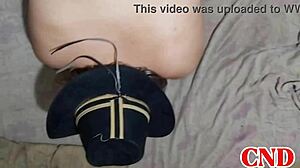 latina wife with big ass rides husband reverse cowgirl on bed