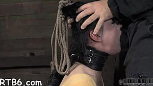 Hey, check out these wild BDSM whipping clips with bound sluts getting punished! 😈🔥