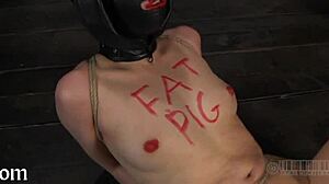 Free Sadomasochism Erotica