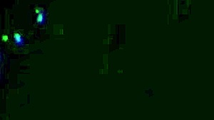 fudendo minha amiga com passionate sucking and deepthroat. gozei dentro after romantic interracial homemade action, might get her pregnant