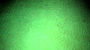 video from november 1 2017 captured at 18 33 28