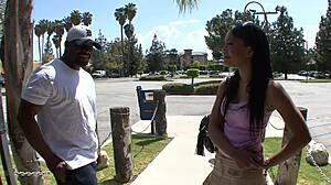 Rhianna Ryan licks black cock before shaved pussy anal fingering