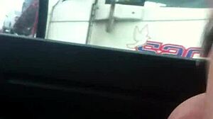 Have you seen Aussiefox teasing truckers on Australian roads? It's fun! 🚚