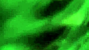 mi esposa usando su rica lengua