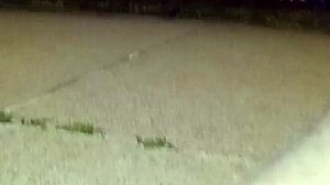 blogging about another day in the life of myself returning after anal 4th of july celebration 2