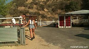 Keisha Grey gets a bunch of cocks in hardcore gangbang. She takes banging from group with big tits ass and pussy cumshot.