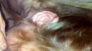 Kimberlie starts blowing big cock. She handles the monster cock with deep suction.