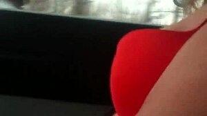 Have you seen Aussiefox teasing truckers on Australian roads? It's fun! 🚚