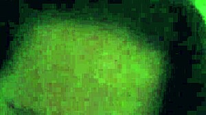 Craving That Thick Black Cock Stretching My Tight Indian Pussy Deep and Full