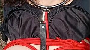 Esclave SA in Broceliande Forest for Bondage and Submission Session