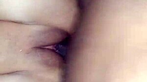 Hey, the new neighbor already fucked me while you're at work, cuckold