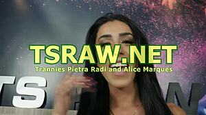 trannies pietra radi and alice marques got into a wild session where they fucked each other with huge dildos in doggystyle.