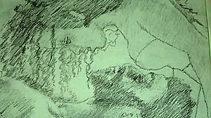 in this sketch, a couple engages in intimate foreplay while dressed in elegant lingerie