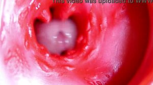 i feel this big red cock in my juicy hole ready to spurt sperm anytime