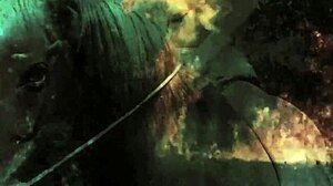 Dark Lantern Entertainment Presents Vintage Tits Pussy Hairy Riding Beaver Natural Tits