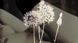 Dark Lantern Entertainment Presents Vintage Tits Pussy Hairy Riding Beaver Natural Tits