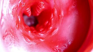 i feel this big red cock in my juicy hole ready to spurt sperm anytime