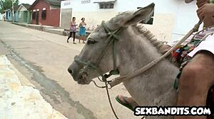 Huge ass big booty Latina compilation with Brazilian and Colombian brunettes