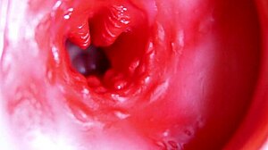 i feel this big red cock in my juicy hole ready to spurt sperm anytime