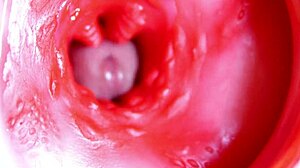 i feel this big red cock in my juicy hole ready to spurt sperm anytime