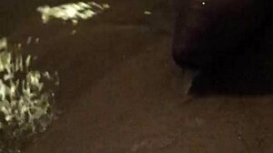 why not piss in the bathtub like this?