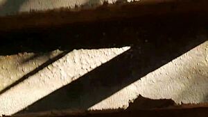 Pingo na bunda with El Toro de Oro, Paty Bumbum, and Casal de Primos in African style