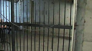 You know, that Asian bondage party with accents kept everyone super excited until the end