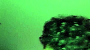 Latina ass rides cowgirl style in Mexico City hotel encounter