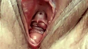 큰 가슴 성숙한 밀프가 보지 자위로 오르가즘 컴필레이션