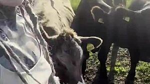 Oh man, I feel so free just chattin' with cows and you, ya know? Like, tattooart blackwork is my vibe d-