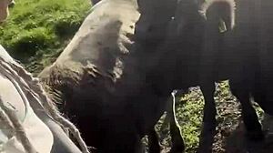 Oh man, I feel so free just chattin' with cows and you, ya know? Like, tattooart blackwork is my vibe d-