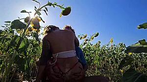 ひまわり畑の挑戦、ヨーロッパのダミアナ・ブラジレイラがプランテーションでトラサン、ep6