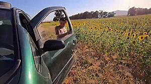 desafio no campo de girassol, you're transando na plantação as damiana brasileira safada pela europa ep6?