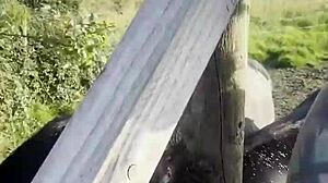 Oh man, I feel so free just chattin' with cows and you, ya know? Like, tattooart blackwork is my vibe d-