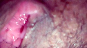 creampie in tight shaved pussy