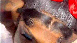 Massive Curved Black Cock Pounds Wet Ebony Pussy in Doggystyle and Missionary Positions