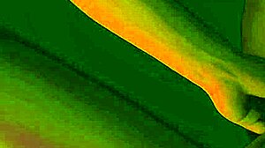 Oh man, this BBW's foot worship turns into wild pussy licking and face sitting with a buttplug in play! 👣😍 Her big ass and natural tits make it so hot during foreplay.