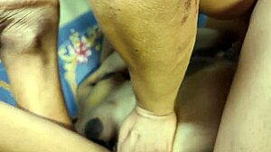 tender couple uttaran20 and sisty enjoy romantic anal sex